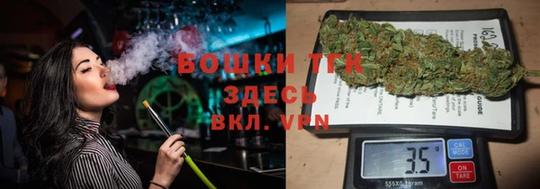крисы Нея