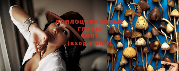 крисы Нея