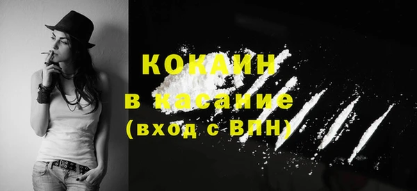 крисы Нея