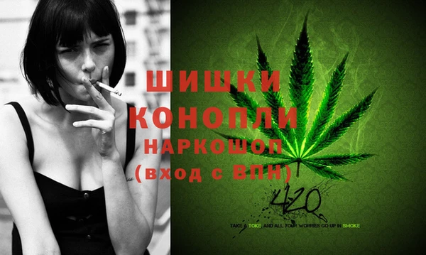 крисы Нея
