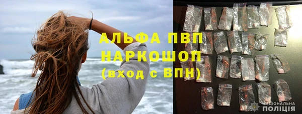 крисы Корсаков