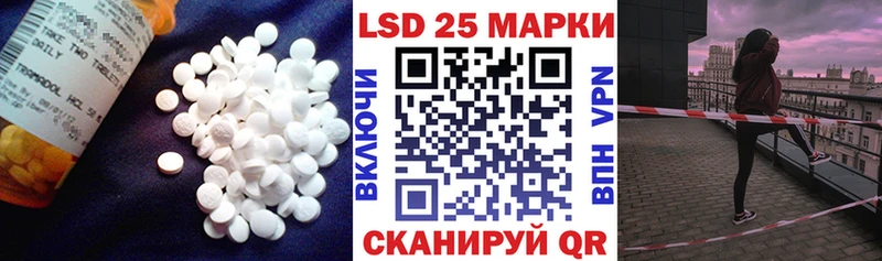 ЛСД экстази ecstasy  даркнет сайт  Кашин 