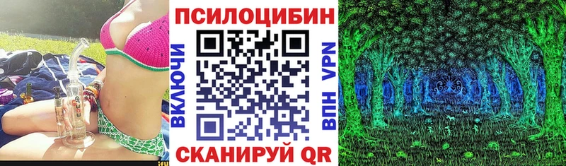 Псилоцибиновые грибы прущие грибы  блэк спрут ссылка  Кашин 